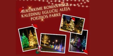 Romantiška Kalėdinių eglučių alėja