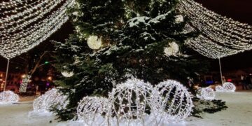 Sužibo gražuolė Vilkaviškio kalėdinė eglutė