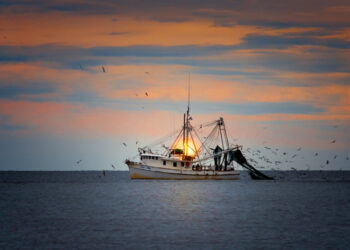 Žvejyba ir akvakultūra