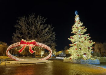 Sužibo jauki Kalėdų eglutė Šakiuose
