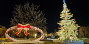 Sužibo jauki Kalėdų eglutė Šakiuose