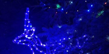 Kalėdų eglės įžiebimas Kalvarijoje