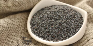 Aguonpienio ledai arba „panna cotta“ – pagarba tradicijoms ir duoklė kūrybiškumui