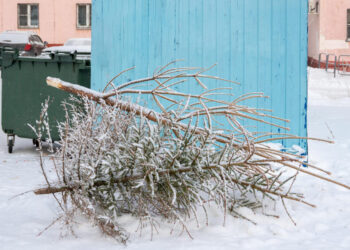 Išmetamos kalėdinės eglutės