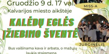 Kalėdų eglės įžiebimas Kalvarijoje