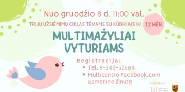 Multimažyliai Vyturiams