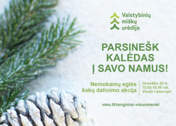 Akcija „Parsinešk Kalėdas į savo namus“