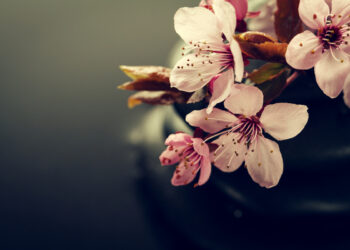 Kaip iš anksto pradėti ruoštis laidotuvėms?