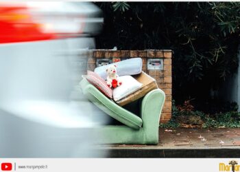 Marijampolės savivaldybės gyventojų individualiose valdose susidariusių stambiagabaričių,...