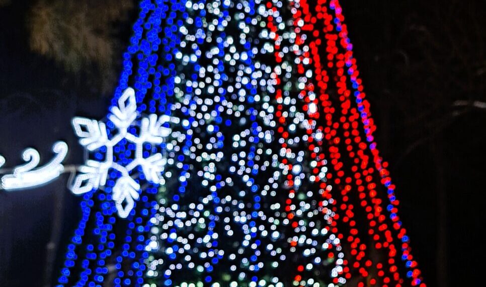 Kazlų Rūdoje suspindo baltomis snaigėmis padabinta Kalėdinė eglutė @ Sūduvos gido nuotr.