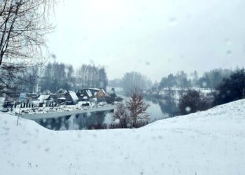 Bibliotekoje jau ne vienus metus skiriamas dėmesys aplinkosaugos problemoms