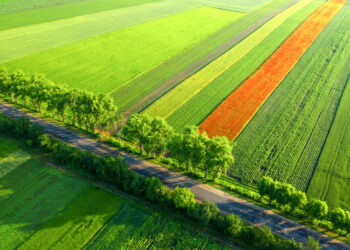 Kaimo bendruomenėms – beveik milijonas eurų