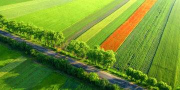 Kaimo bendruomenėms – beveik milijonas eurų