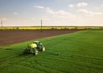Kaimo bendruomenėms – beveik milijonas eurų