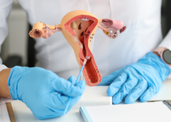 Naudoti automobiliai Toyota RAV4 – ilgaamžiškumo garantas