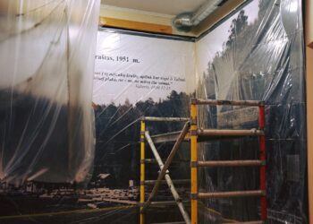 Marijampolės krašto ir Prezidento Kazio Griniaus muziejuje prasidėjo tvarkybos darbai