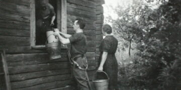 Tauro apygardos Vytauto rinktinės partizanai ruošia bunkerį. 1949 m. birželio 2 d. Keičiasi kibirais Vytauto rinktinės štabo Ūkio skyriaus viršininkas Juozas Ališauskas-Klaidas ir Vytauto rinktinės adjutantas A. A. Matūnas-Neptūnas, šalia stovi Vytauto rinktinės partizanė Vėtra. Iš Okupacijų ir laisvės kovų muziejaus rinkinių