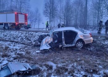 Tragiška avarija prie Marijampolės: žuvo užsienietis vairuotojas