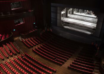 Viešųjų kultūros įstaigų, nevyriausybinių kultūros organizacijų, bendruomenių kultūros projektų...