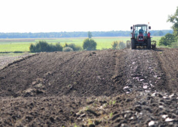 Patvirtintas geros agrarinės ir aplinkosaugos būklės reikalavimų aprašas