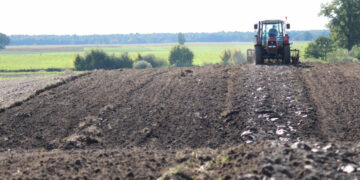 Patvirtintas geros agrarinės ir aplinkosaugos būklės reikalavimų aprašas