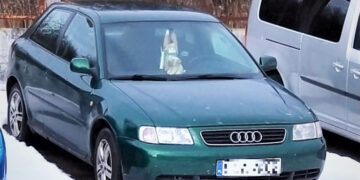 Automobiliu į užsienį – su suklastotu vairuotojo pažymėjimu