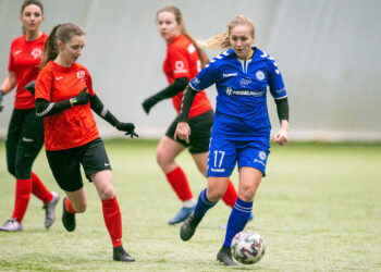 LMFA Žiemos taurės rungtynės