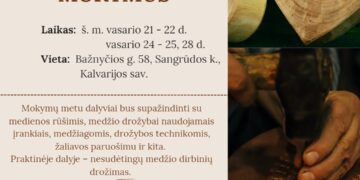 Medžio drožybos mokymai