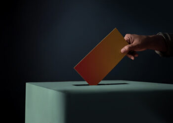 Informacija apie balsavimą iš anksto renkant Savivaldybės tarybos narius ir merą Vilkaviškyje