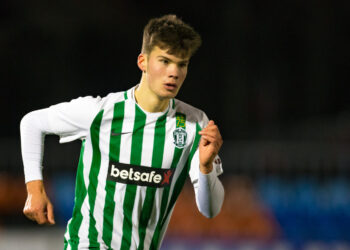 Meinardas Mikulėnas