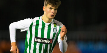 Meinardas Mikulėnas