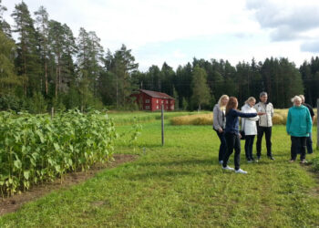 Ūkininkų konsultavimas: dėmesys – inovacijų ir skaitmeninio žemės ūkio temoms