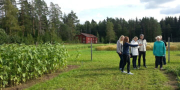 Ūkininkų konsultavimas: dėmesys – inovacijų ir skaitmeninio žemės ūkio temoms