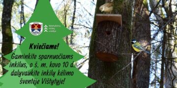 40-ties paukščių diena Vištytyje