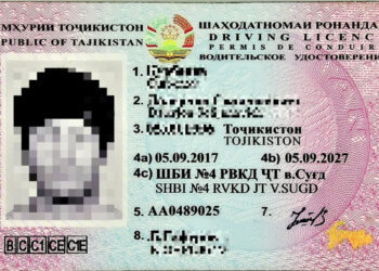 Akivaizdžius klastočių požymius pasieniečiai fiksuoja net plika akimi