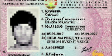 Akivaizdžius klastočių požymius pasieniečiai fiksuoja net plika akimi