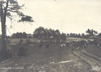 Kraštovaizdis Lietuvoje