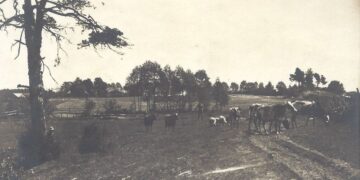 Kraštovaizdis Lietuvoje