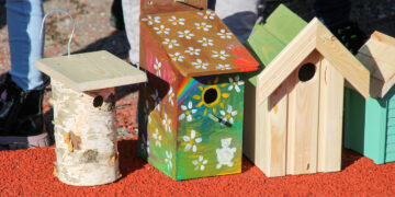 Pašešupio parke – dešimtys naujų namų paukšteliams