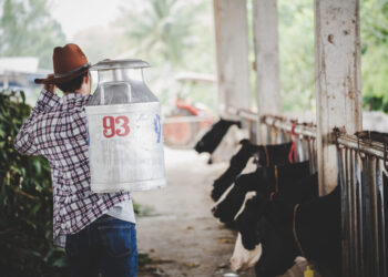 Pieno pramonei - viltis iš Europos