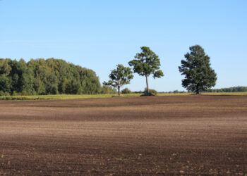 Žemės ūkio naudmenų ir  pasėlių deklaravimas