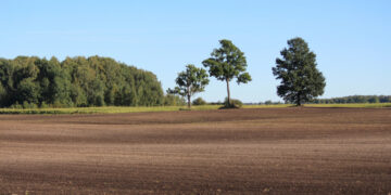 Žemės ūkio naudmenų ir  pasėlių deklaravimas