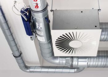 Ką reikia žinoti apie ortakių pasirinkimą?