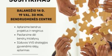 Antanave veikiančių NVO susitikimas