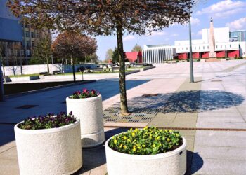 Marijampolė puošiasi žiedais