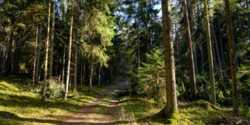 Pėsčiųjų žygis „SŪDUVOS KNYGNEŠIŲ TAKAIS 2023“