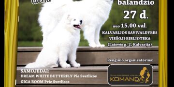 Susitikimas su šunimis „Pažink mane“