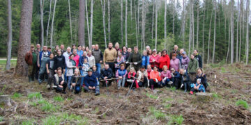 Varnabūdės girininkijoje sužaliuos daugiau nei 6 tūkst. eglučių ir pušų