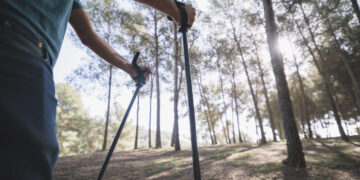 Šiaurietiškas ėjimas