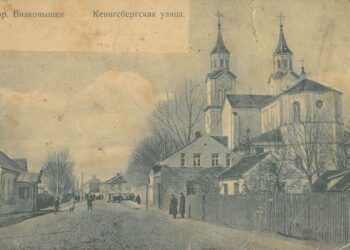 Carinis Vilkaviškis